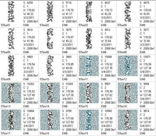 Load image into Gallery viewer, Brisk Borders Combo
