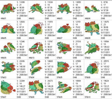 Load image into Gallery viewer, Love Birds Combo
