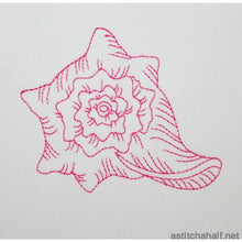 Load image into Gallery viewer, Shelly Beach Combo
