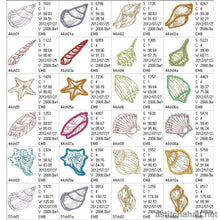 Load image into Gallery viewer, Shelly Beach Combo
