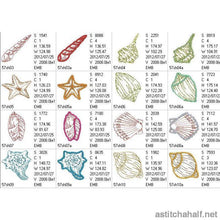 Load image into Gallery viewer, Shelly Beach Combo
