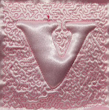 Load image into Gallery viewer, Trapunto Educational Quilt 01
